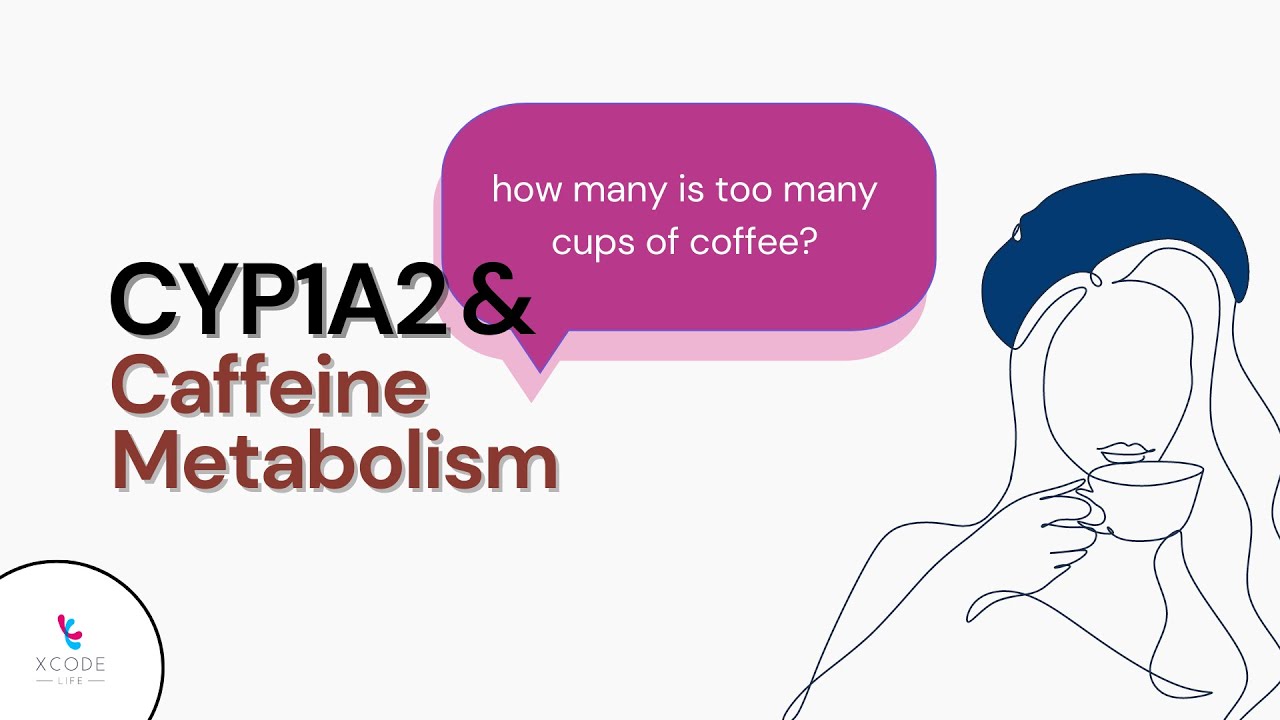 What Role Does The CYP1A2 Gene Play In Caffeine Metabolism?