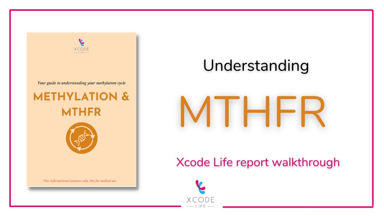 How Does Your MTHFR Gene Variant Influence the Methylation Status?