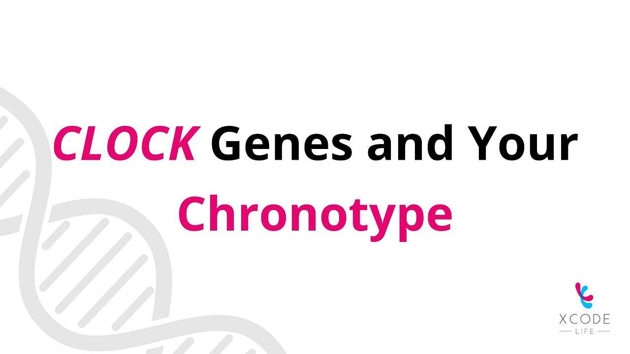 How Do CLOCK Genes Affect Your Circadian Rhythm?