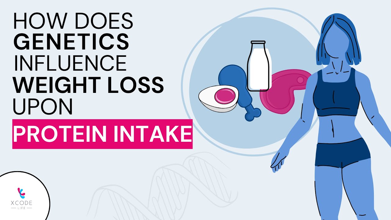 Should You Switch To High-Protein Diet For Weight Loss?