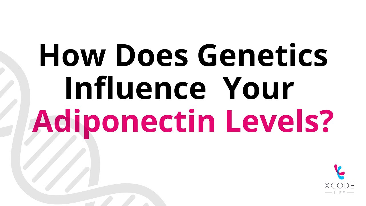 The Impact of Adiponectin On Weight Loss - The ADIPOQ Gene