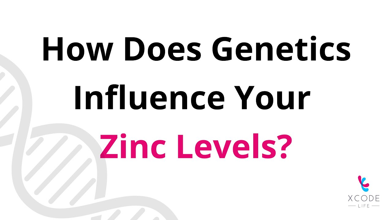 Impact of Zinc On Your Immune System - The SLC Genes