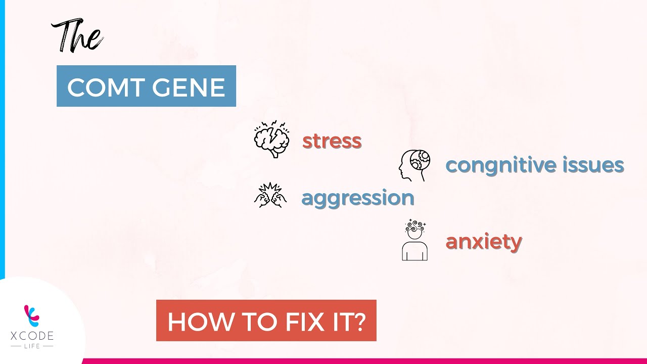 How Does The COMT Gene Influence Your Stress Response?