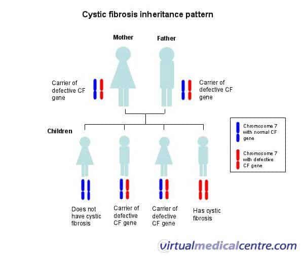 Inheriting cystic fibrosis