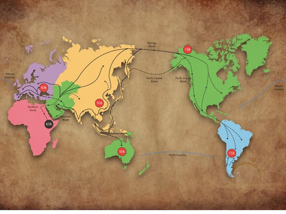 Genetic Testing for haplogroup analysis