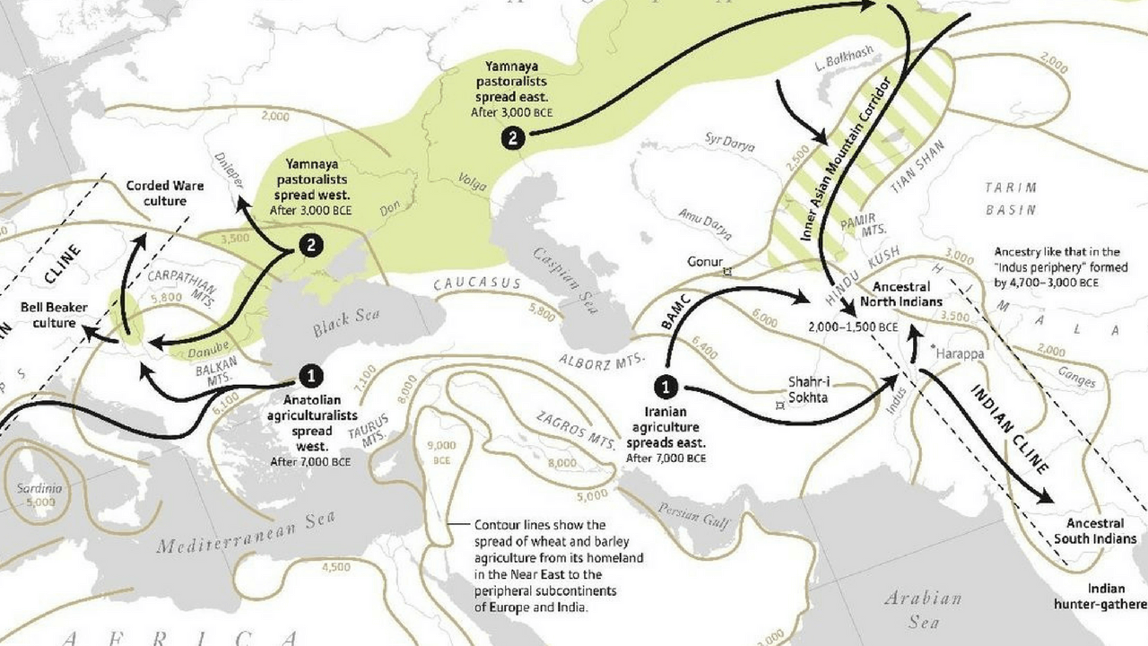 south-asian-ancestry-population-groups-and-their-formation