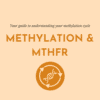 Methylation & MTHFR