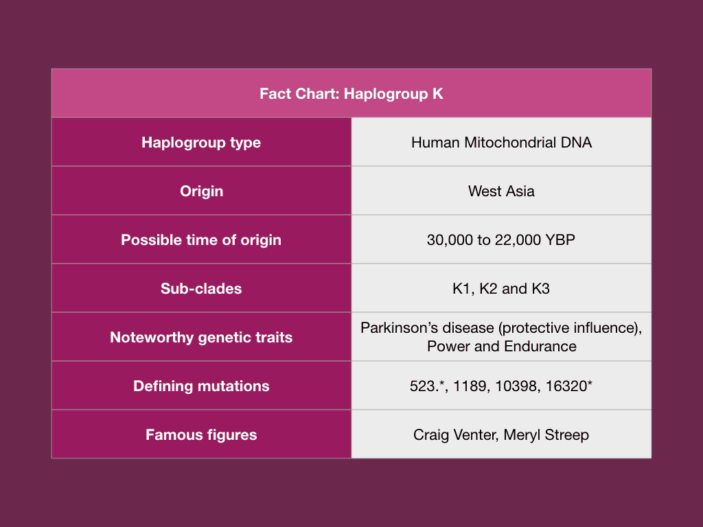 Analyze DNA raw data for Haplogroup K