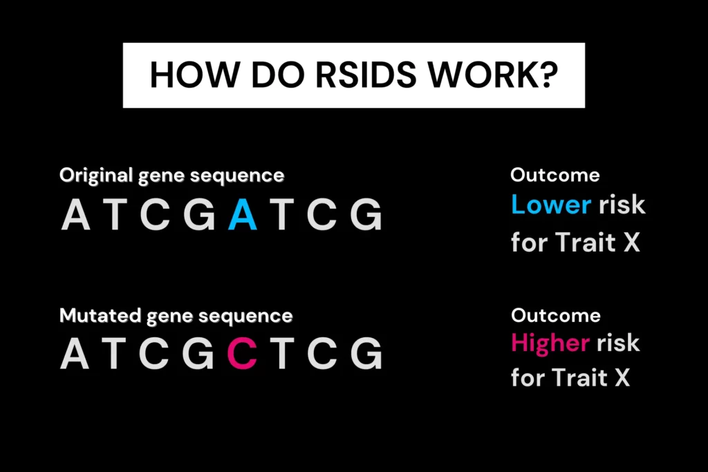 An infographic explaining how RSID mutations can affect your risk for a given trait.