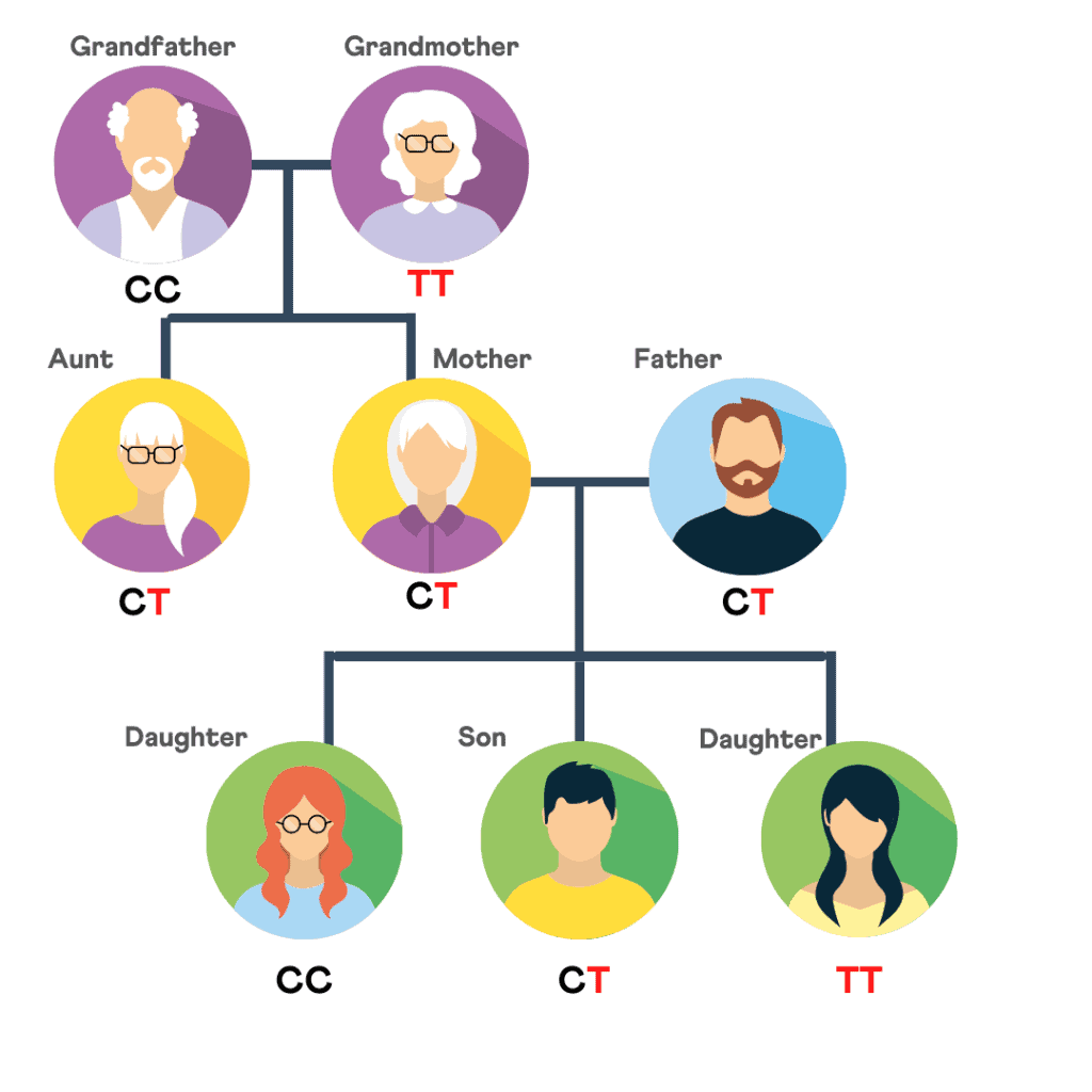 How to Find Out if You Have MTHFR Gene Variants - Gene Food