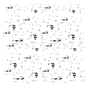 blackfriday logo