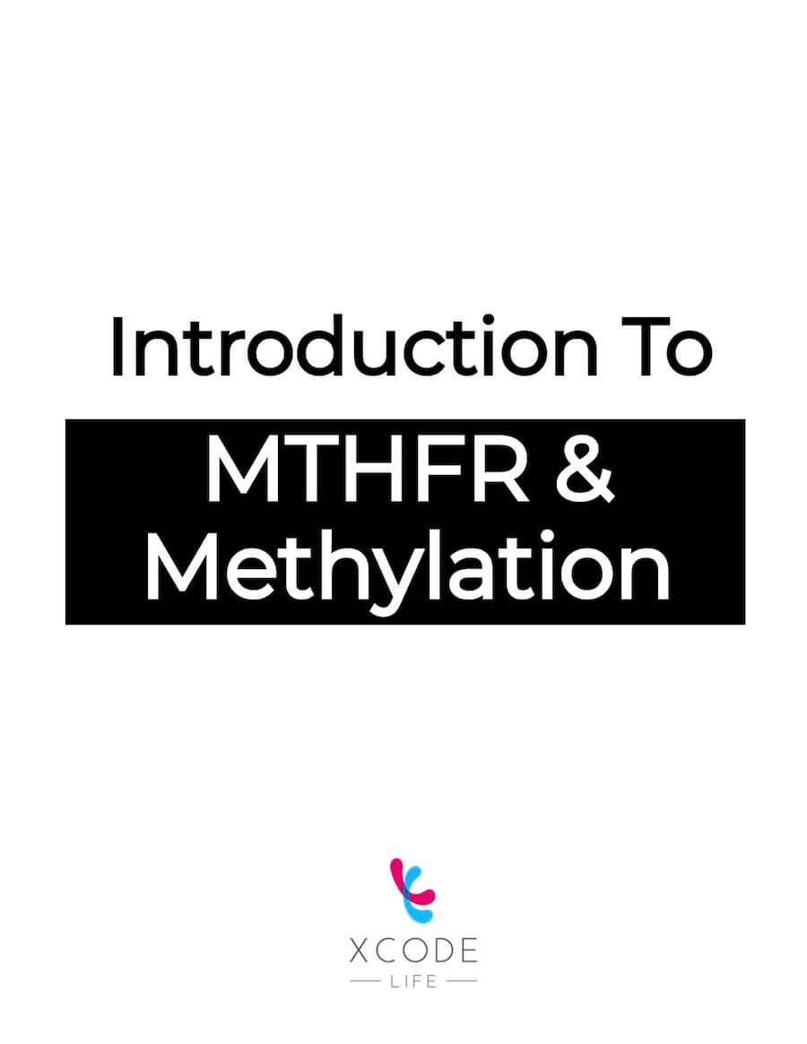 E-book Introduction to methylation and MTHFR