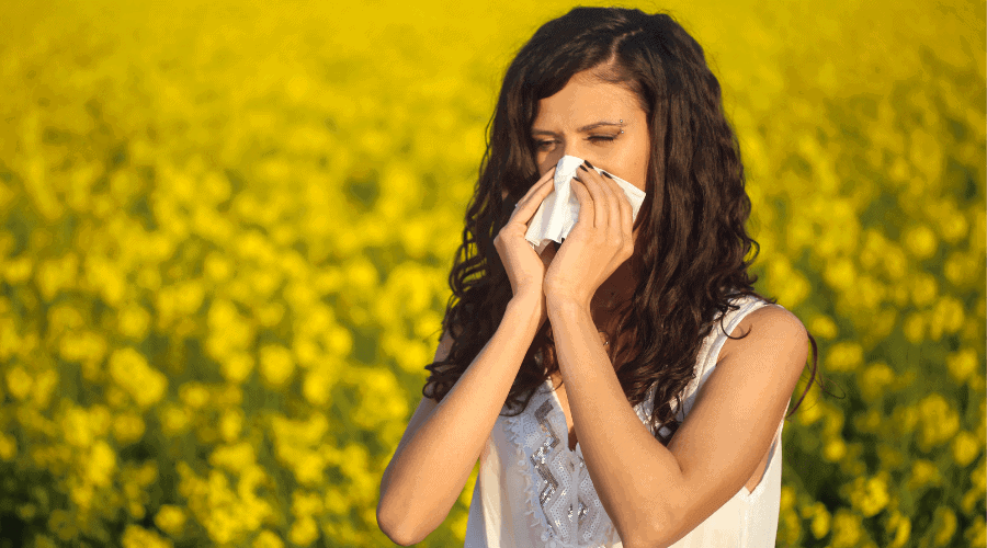 How Does Genetics Influence Your Risk For Birch Pollen Allergy 4431