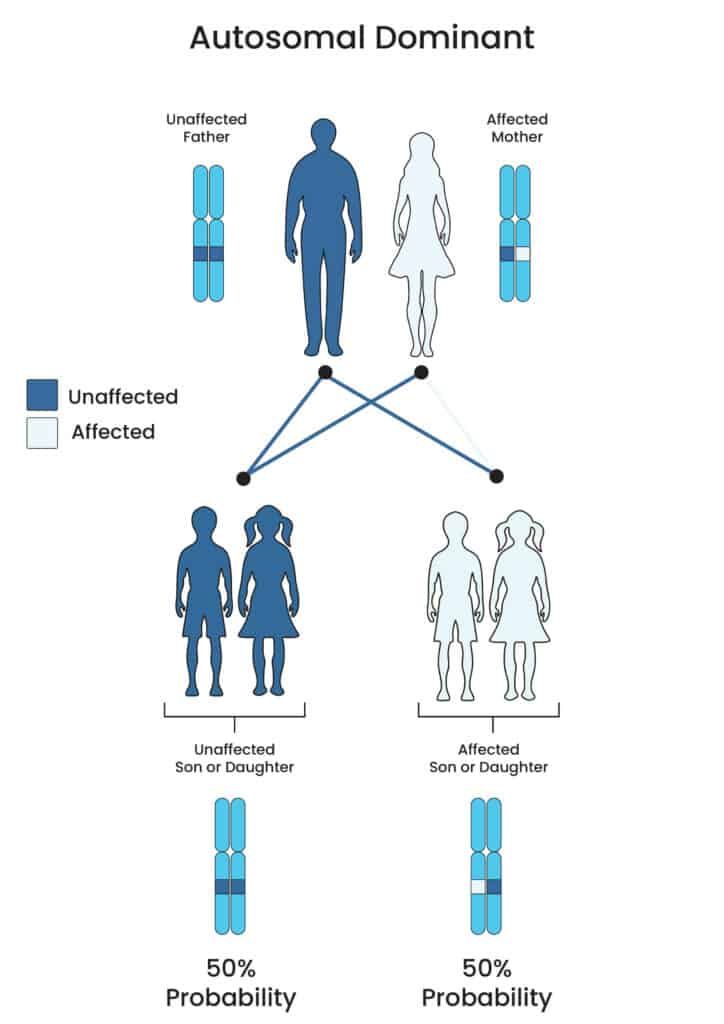 Familial Hypercholesterolemia Genetic Testing Inheritance Pattern