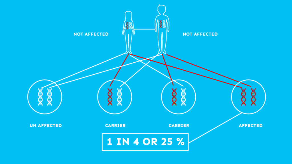 Carrier screening report