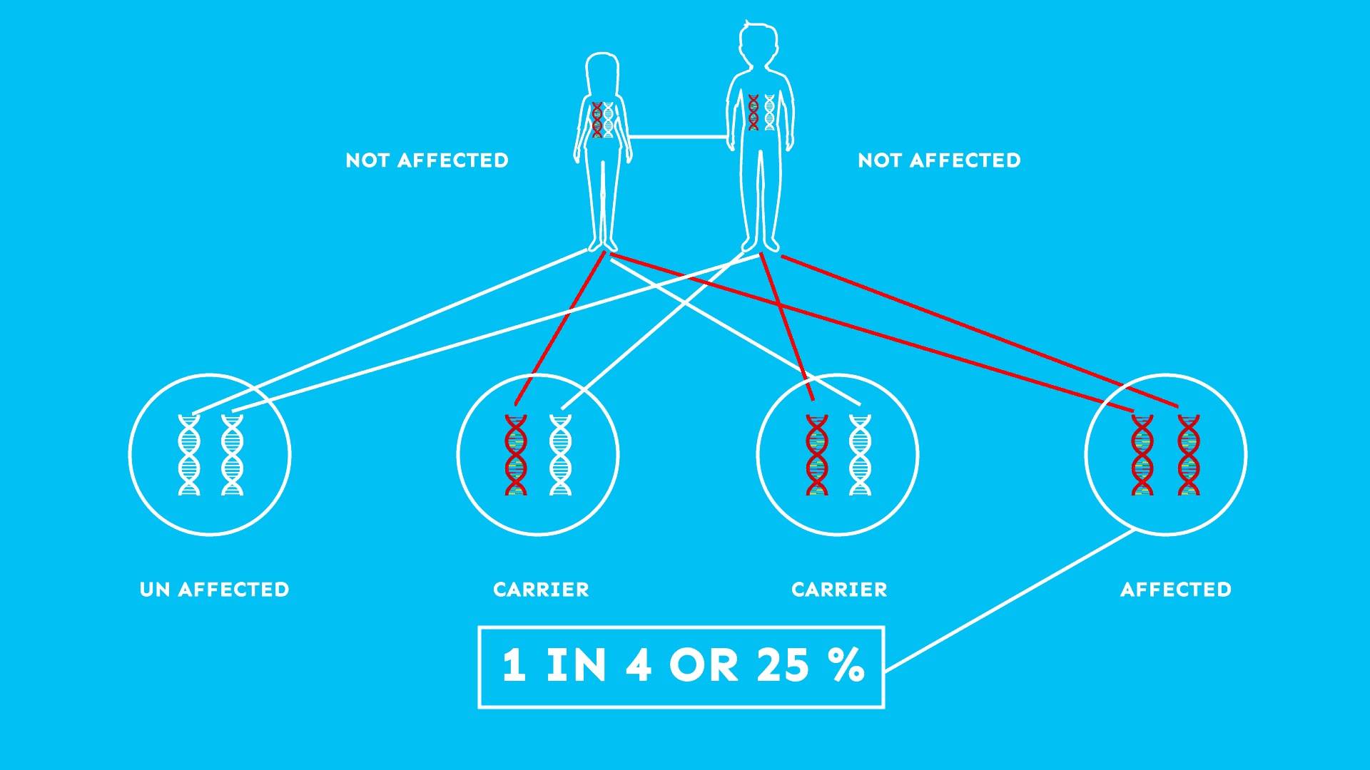 carrier-screening-what-you-can-learn-from-xcode-life-s-report