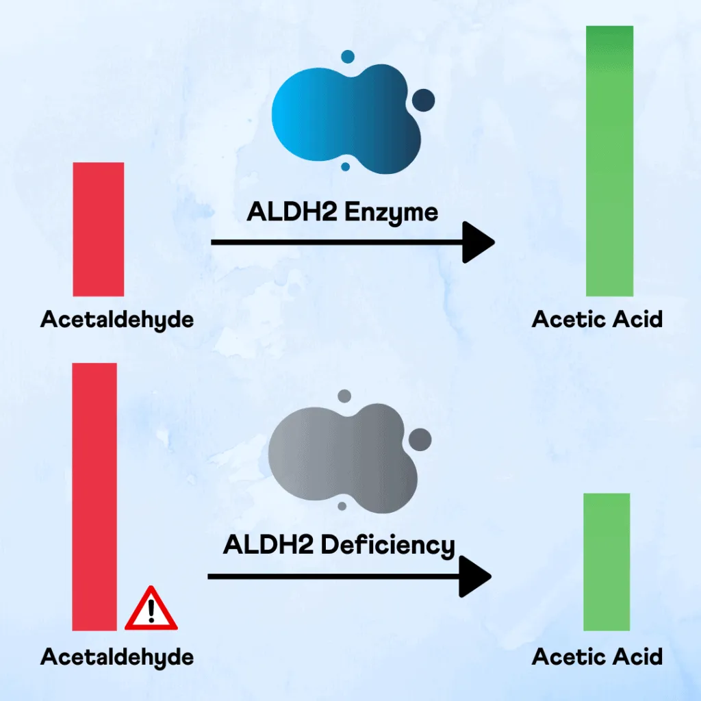 alcohol flush reaction