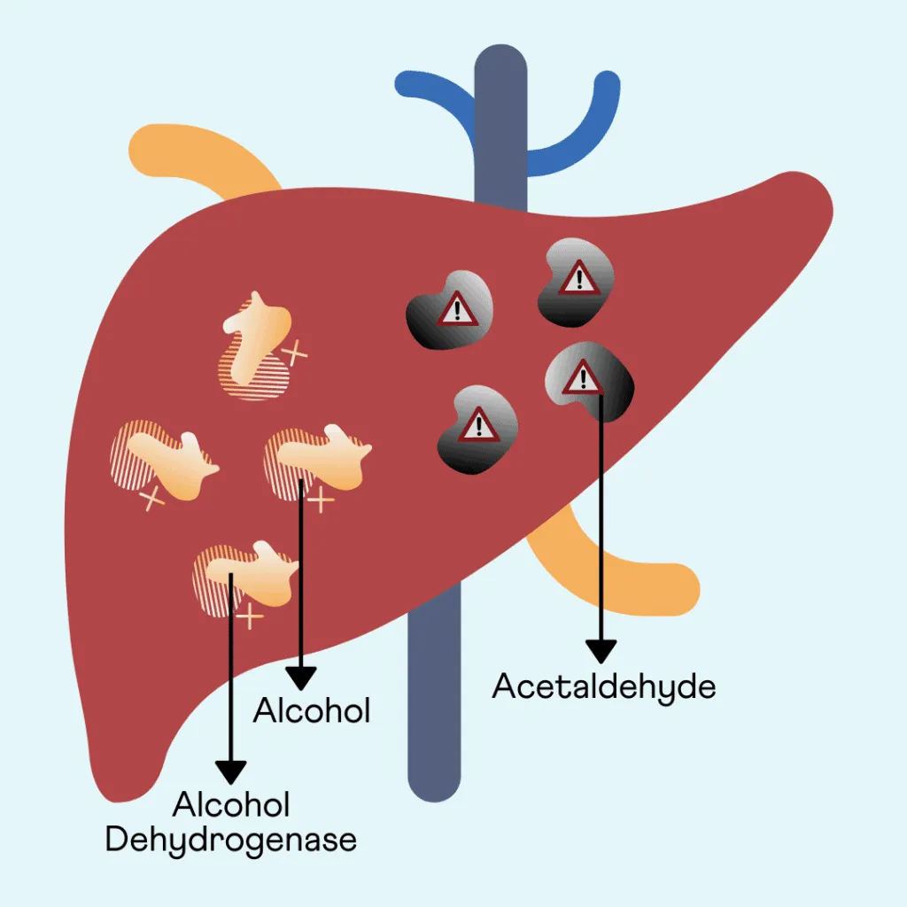 alcohol flush reaction