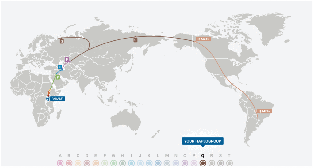 Y-DNA test from FTDNA