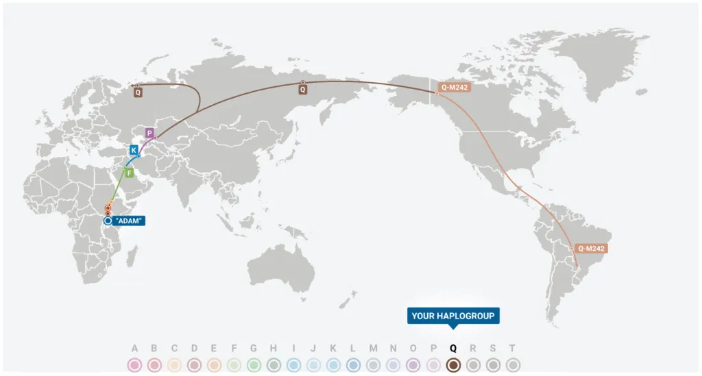 Y-DNA test from FTDNA