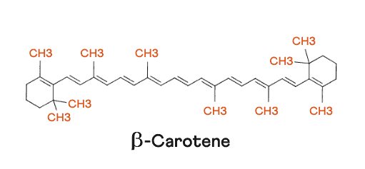 Structure of beta carotene