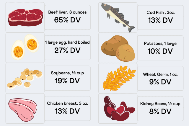 Choline Foods For Fatty Liver | v9306.1blu.de