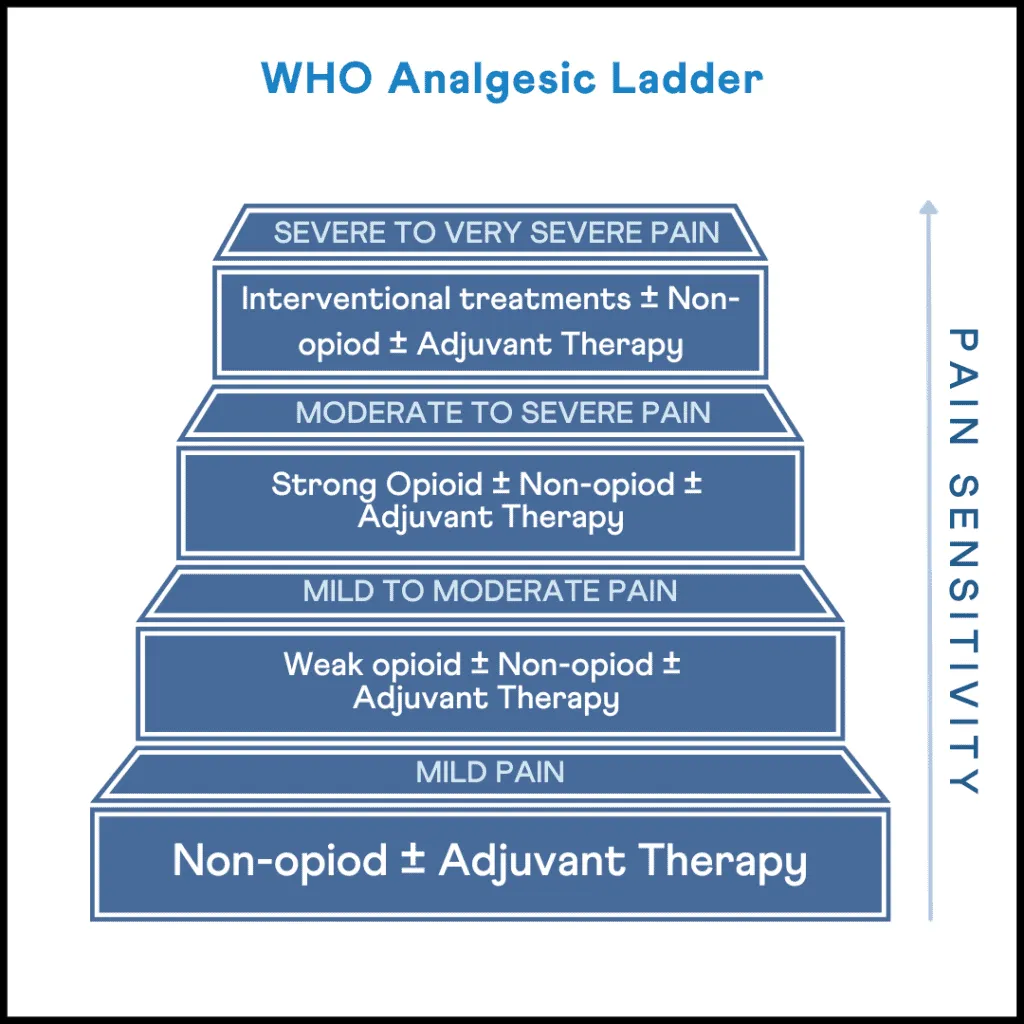 Genes and Analgesics