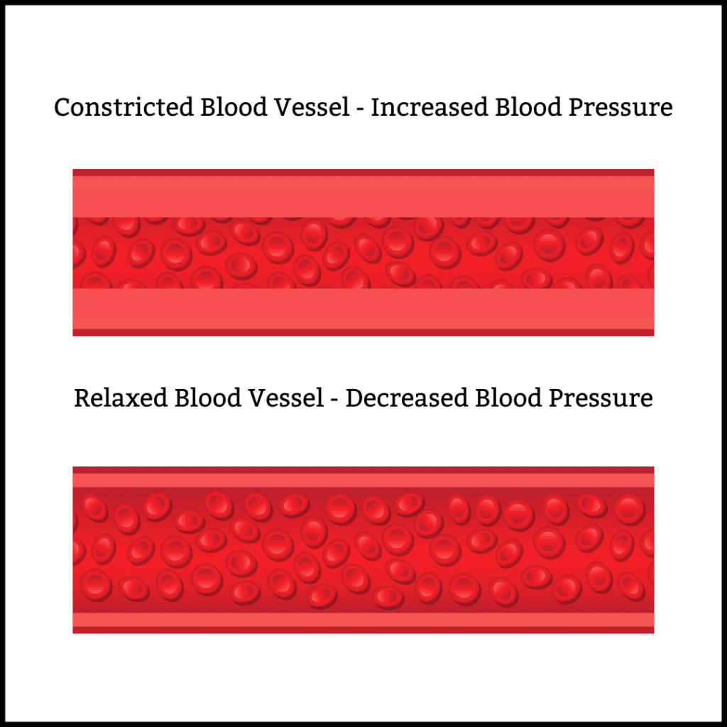 Amlodipine and blood pressure