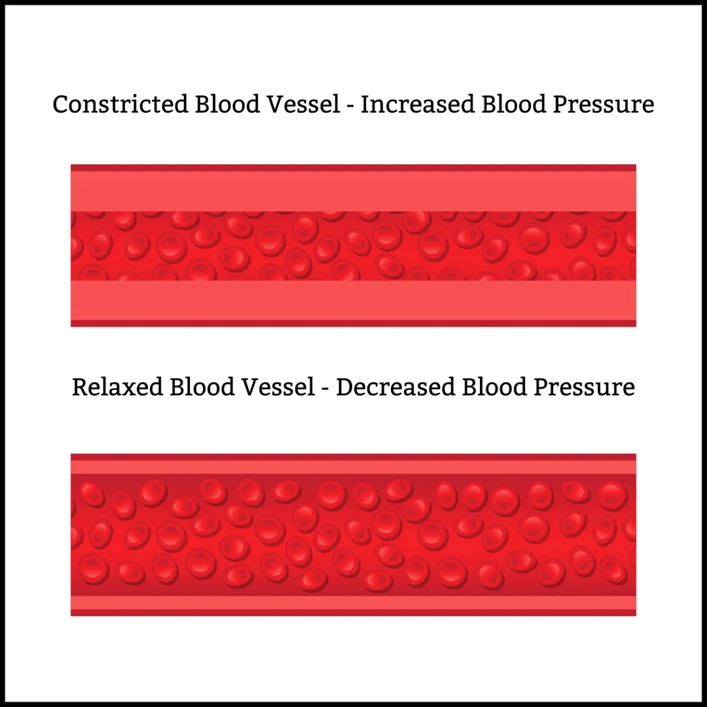 Amlodipine and blood pressure