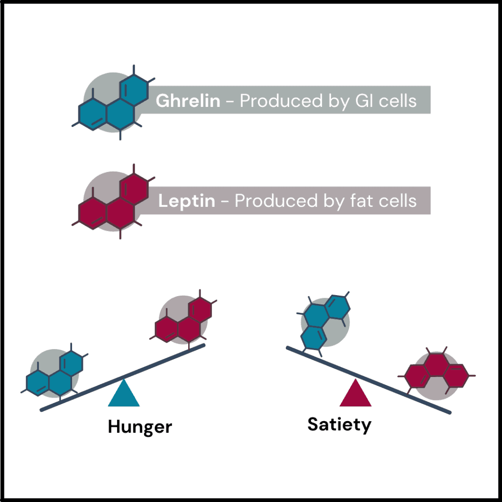Infographic showing eating behaviour influenced by two hormones leptin and ghrelin