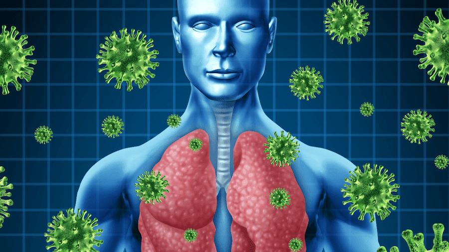 How Genes Influence The Breakdown Of Amoxicillin-Clavulanate? - Xcode Life