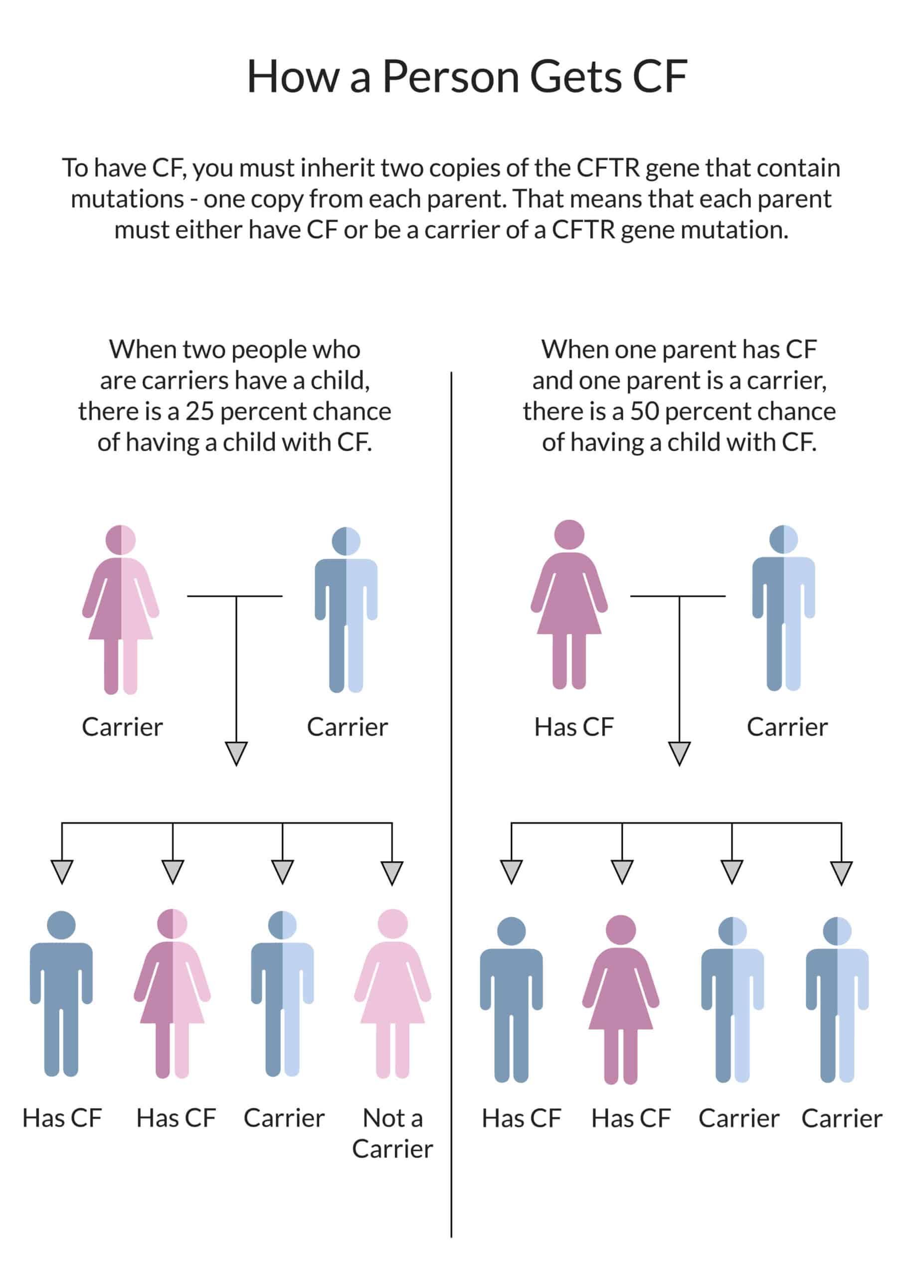is cystic fibrosis genetic