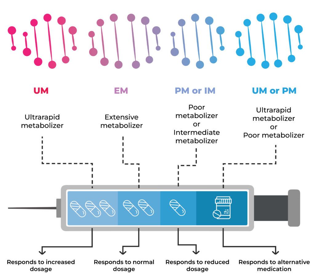 The different types of drug metabolizers along with the effects of each, explained with images of DNA and pills