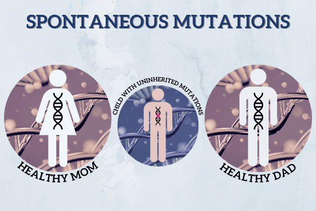 Inheritance of autism by spontaneous mutations