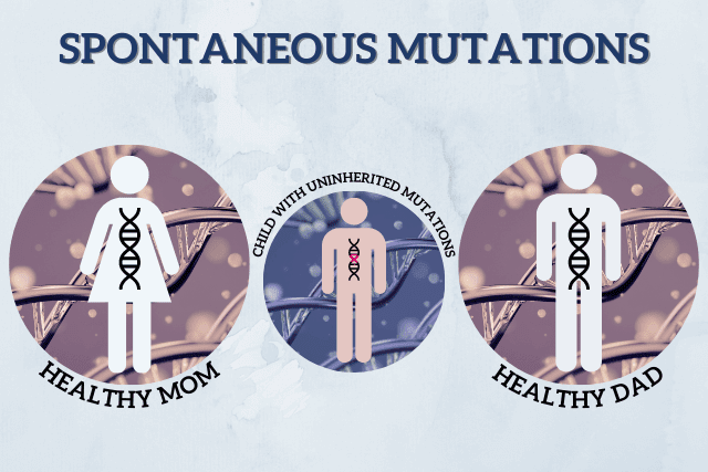 Which Parent Carries The Autism Gene?