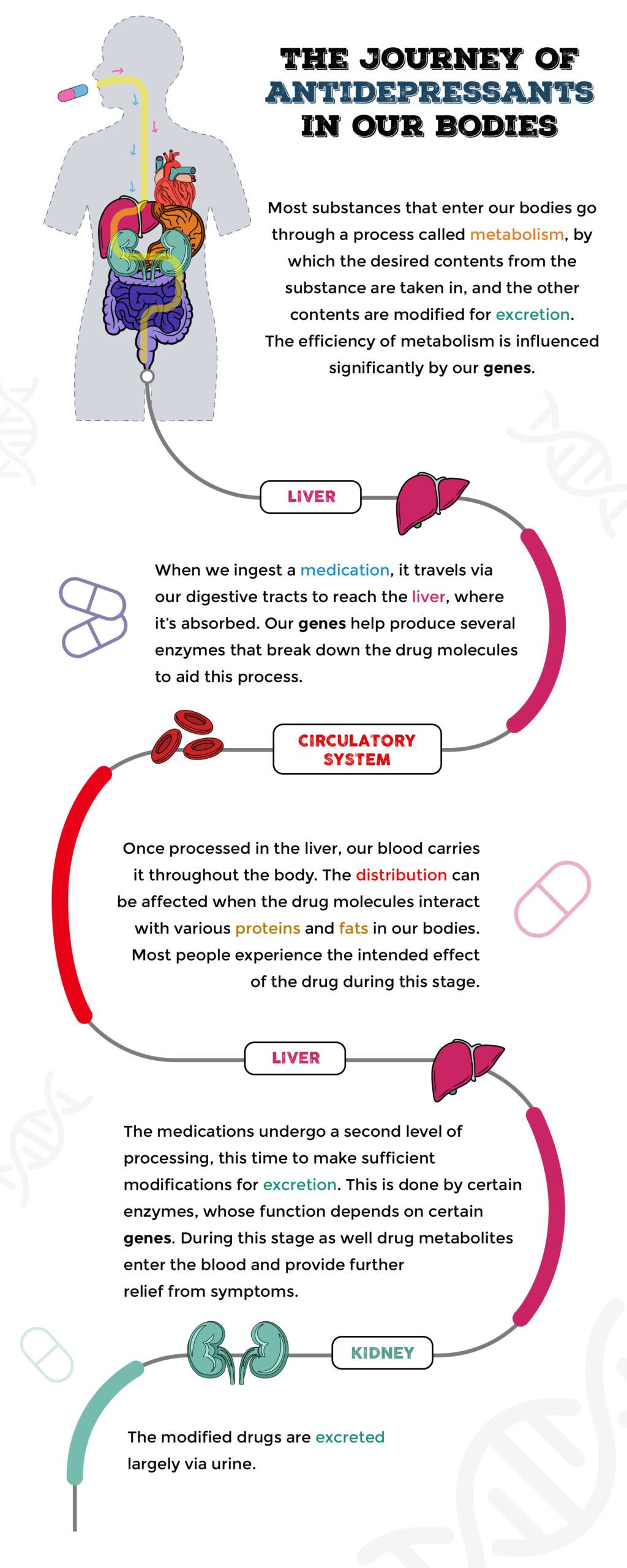 does-genetic-testing-for-antidepressants-work