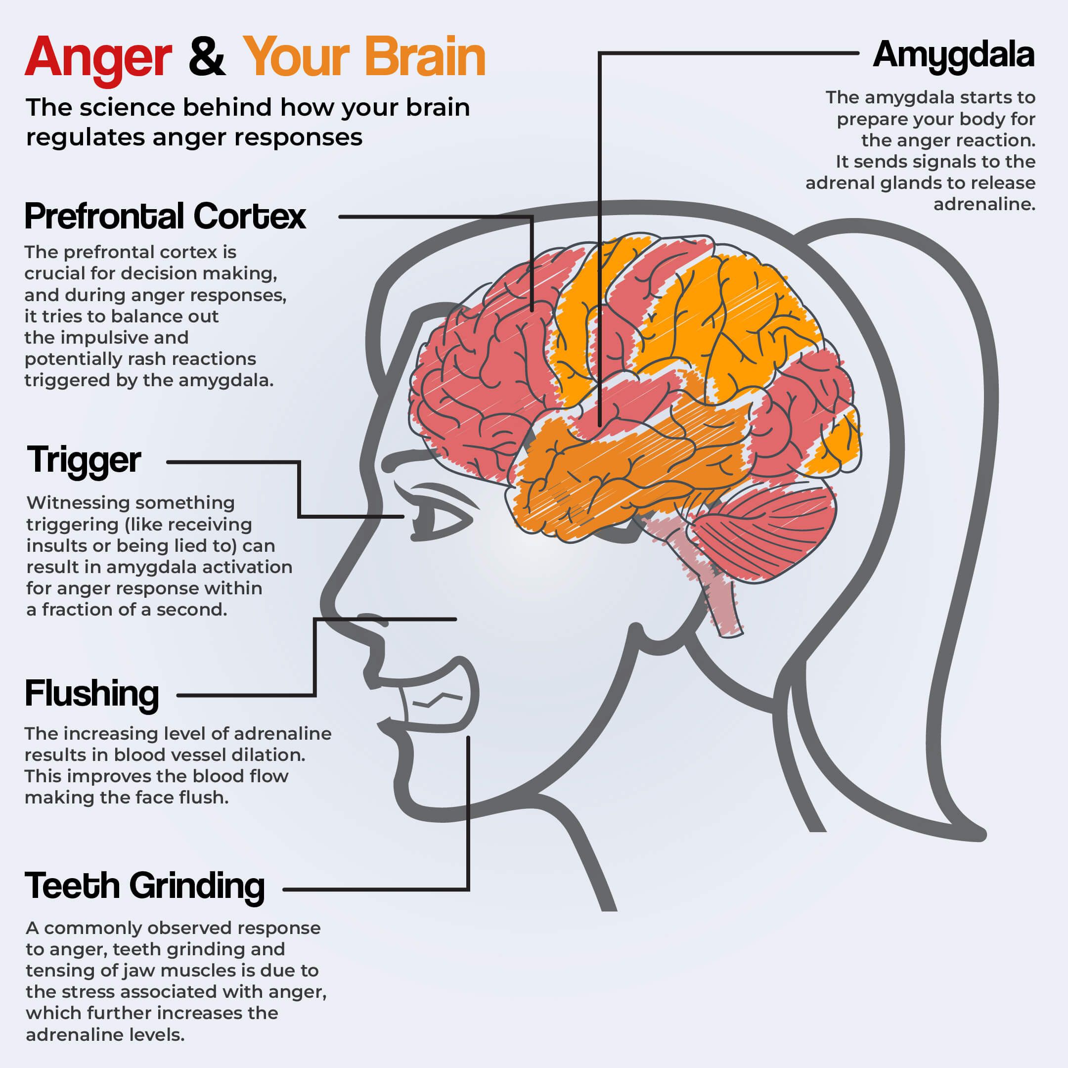 Types Of Anger Disorders