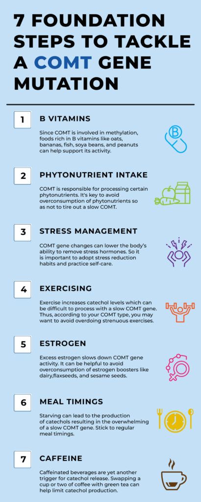 Infographic showing the genetics of slow COMT Gene