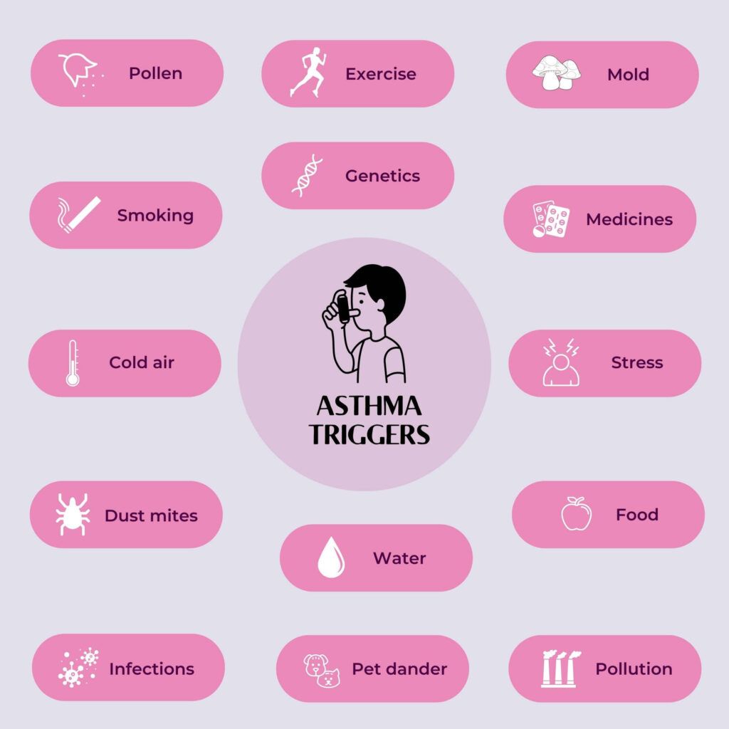 Infographic showing the different triggers for asthma