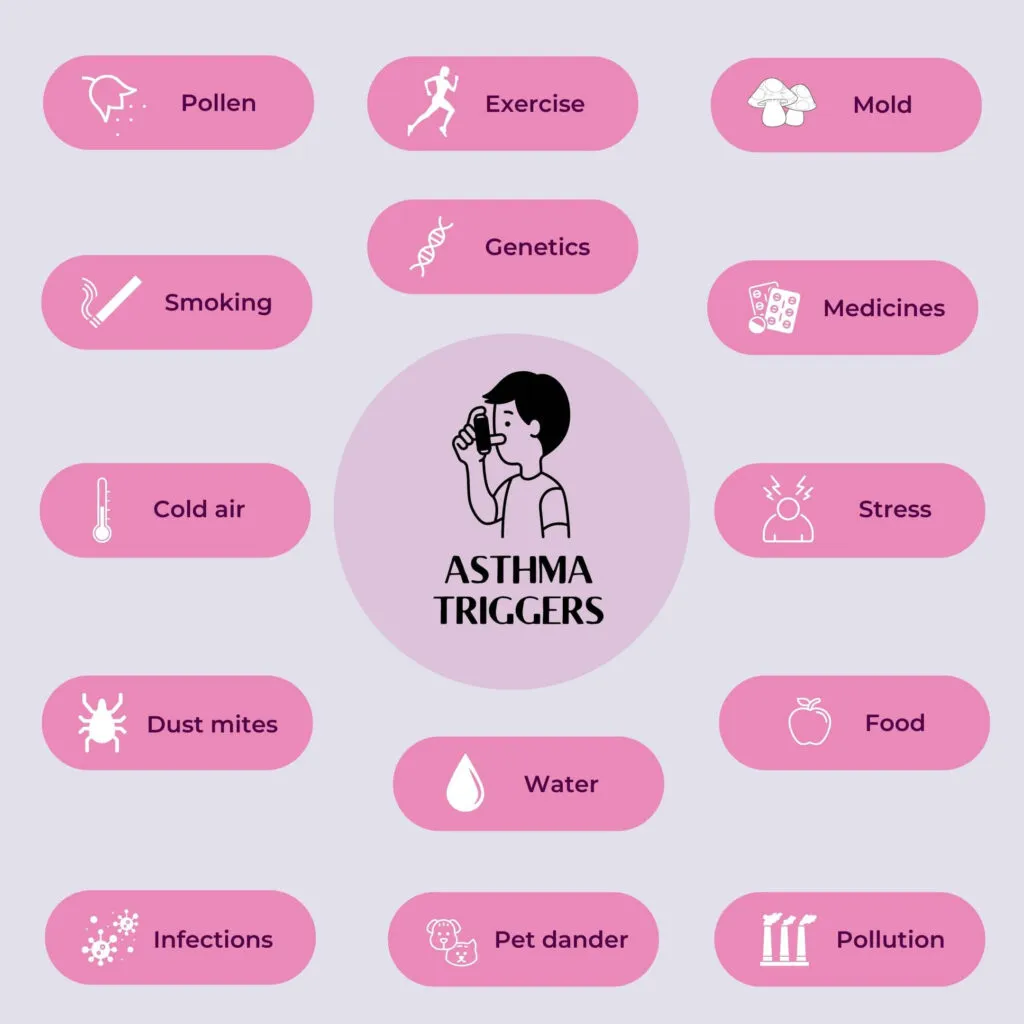 Infographic showing the different triggers for asthma