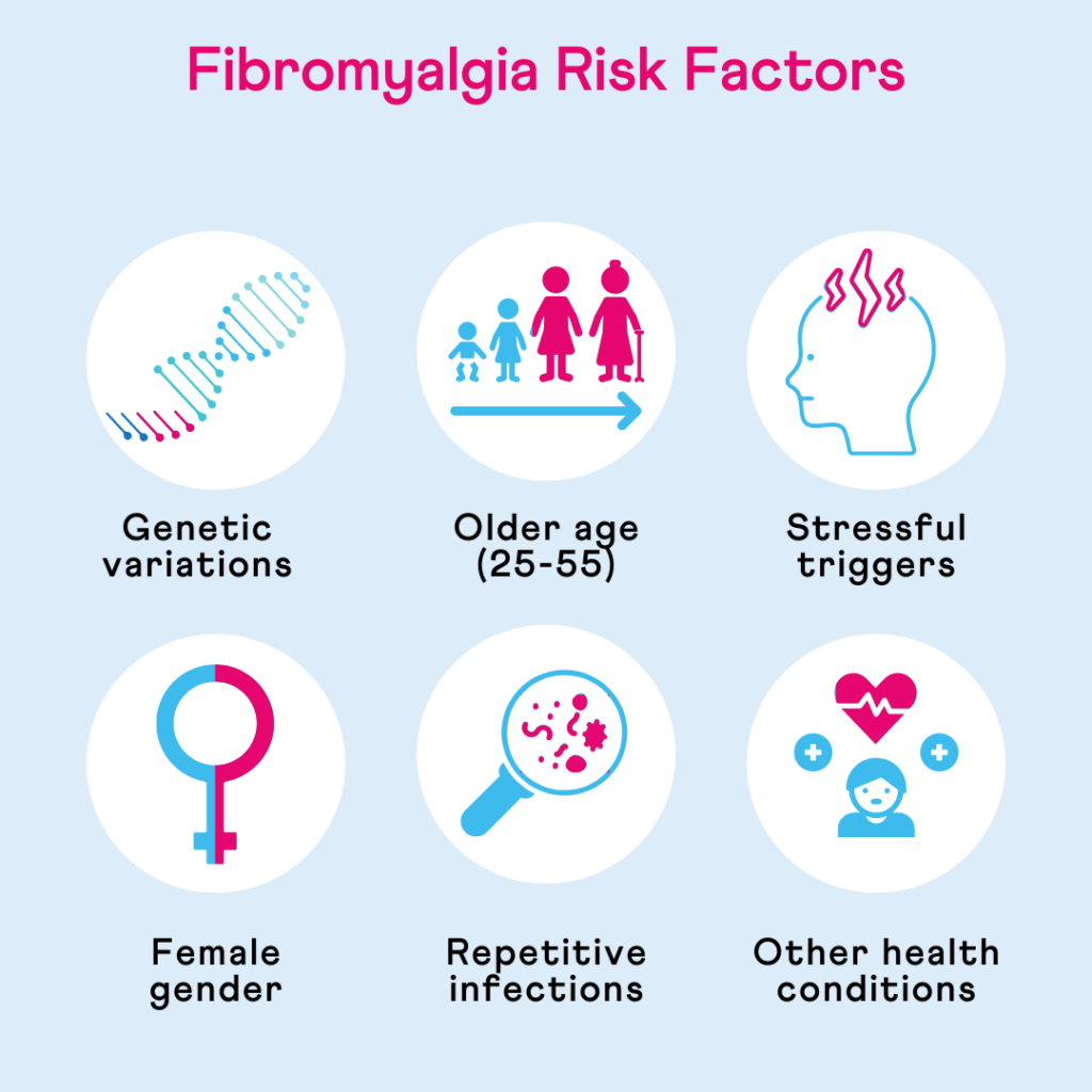 Infographic showing the different risk factors for fibromygalia