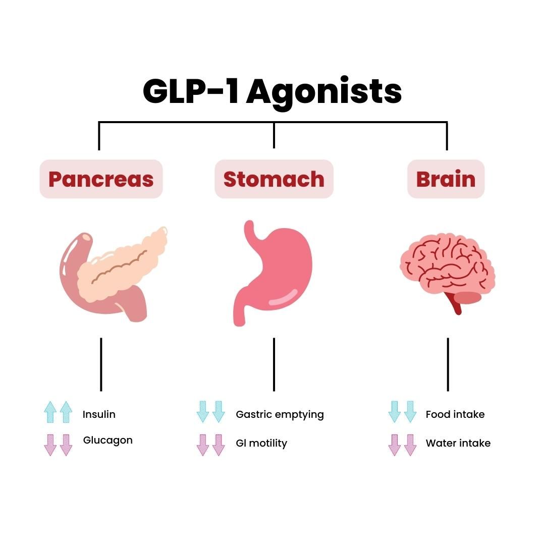 Do GLP 1 Agonists Work For Weight Loss 