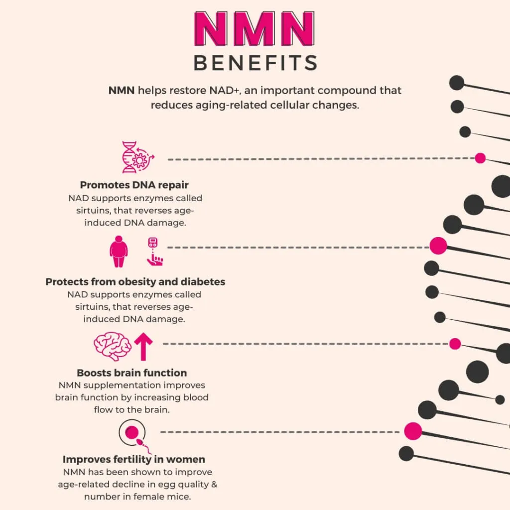 Infographic showing the different benefits of NMN