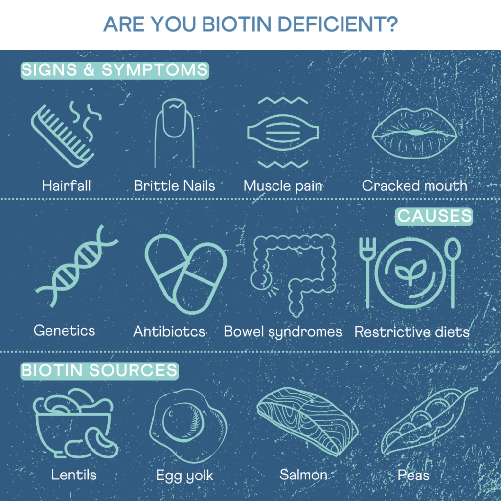 Image showing different food sources of biotin