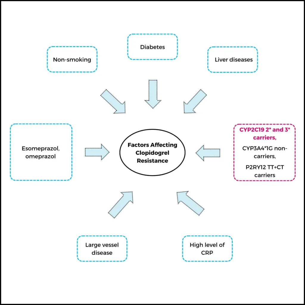 CYP2C19: Factors that affect clopidogrel metabolism