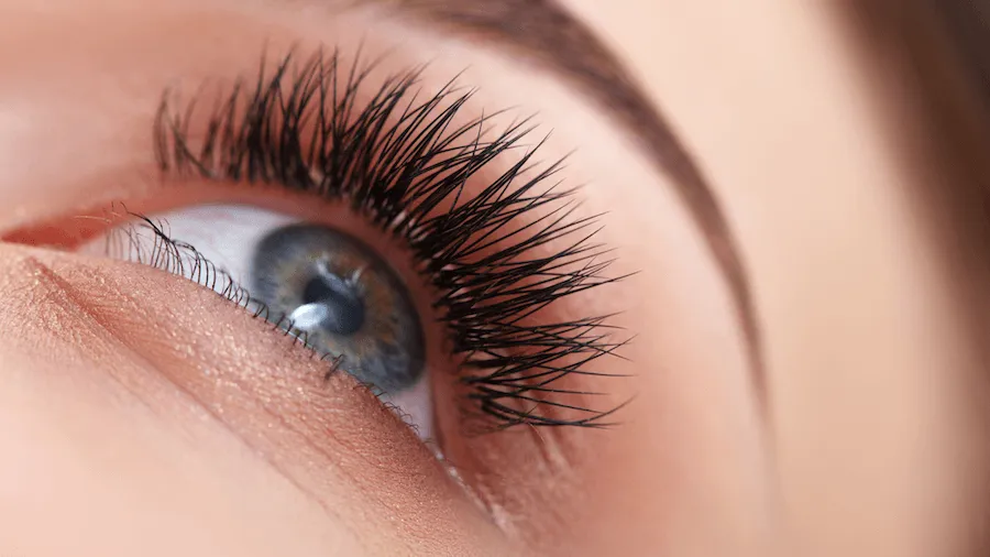 Genetics of double eye lashes