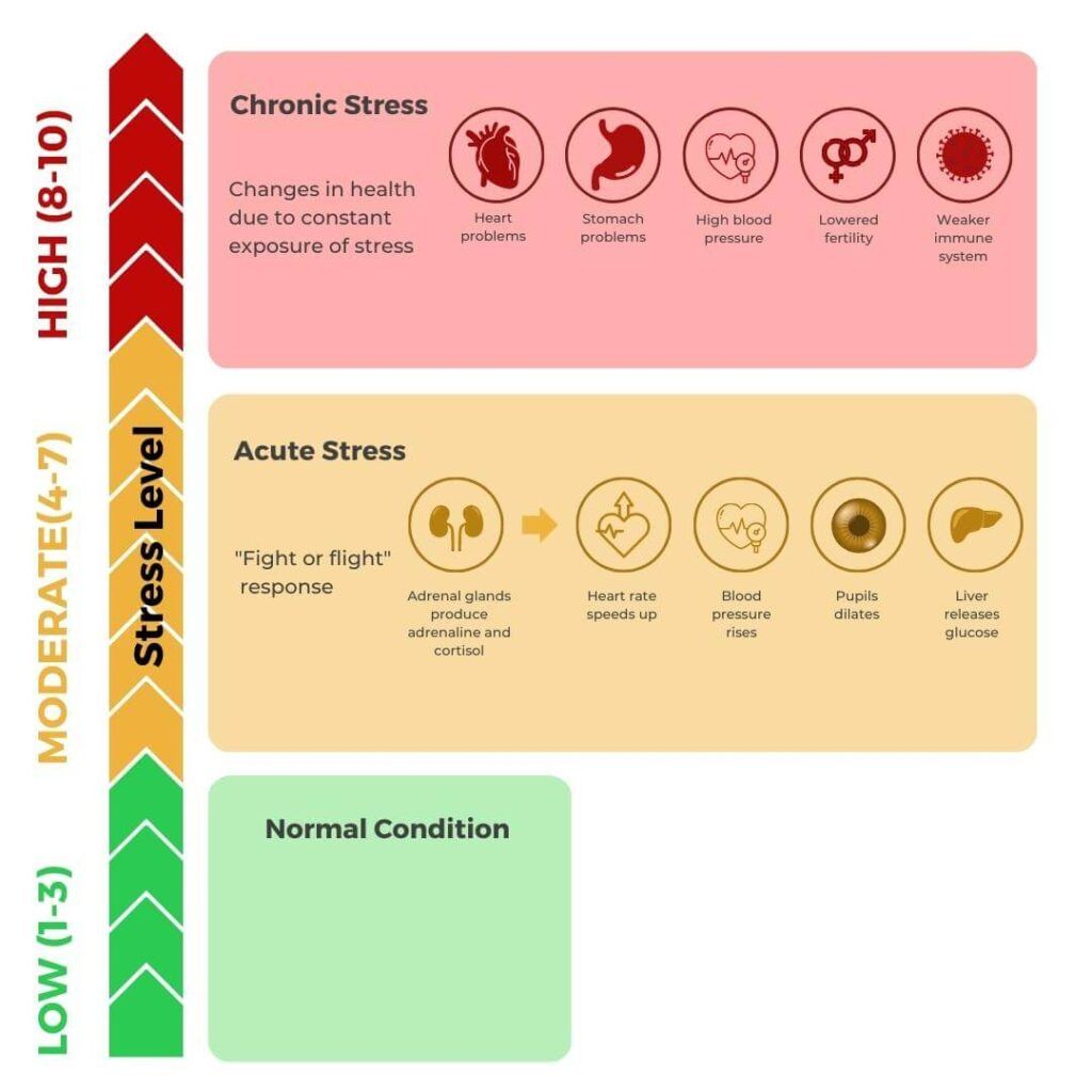 Infographic showing different levels of stress