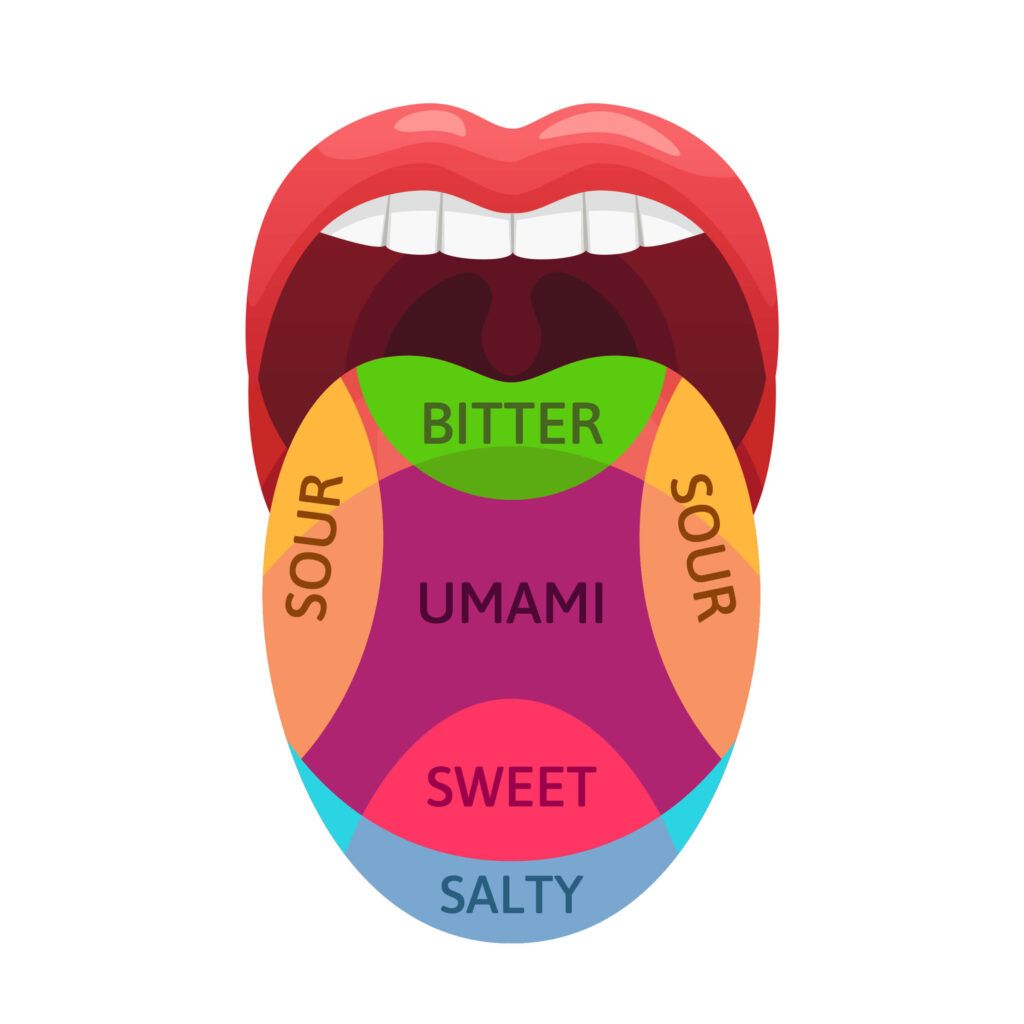Infographic showing the different taste receptors