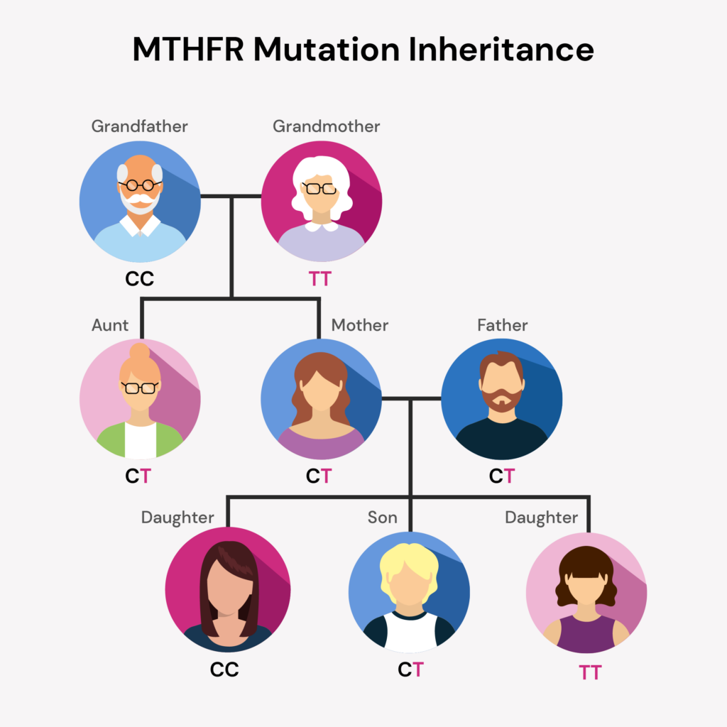 MTHFR Diet: What To Eat, What To Avoid For MTHFR Mutation