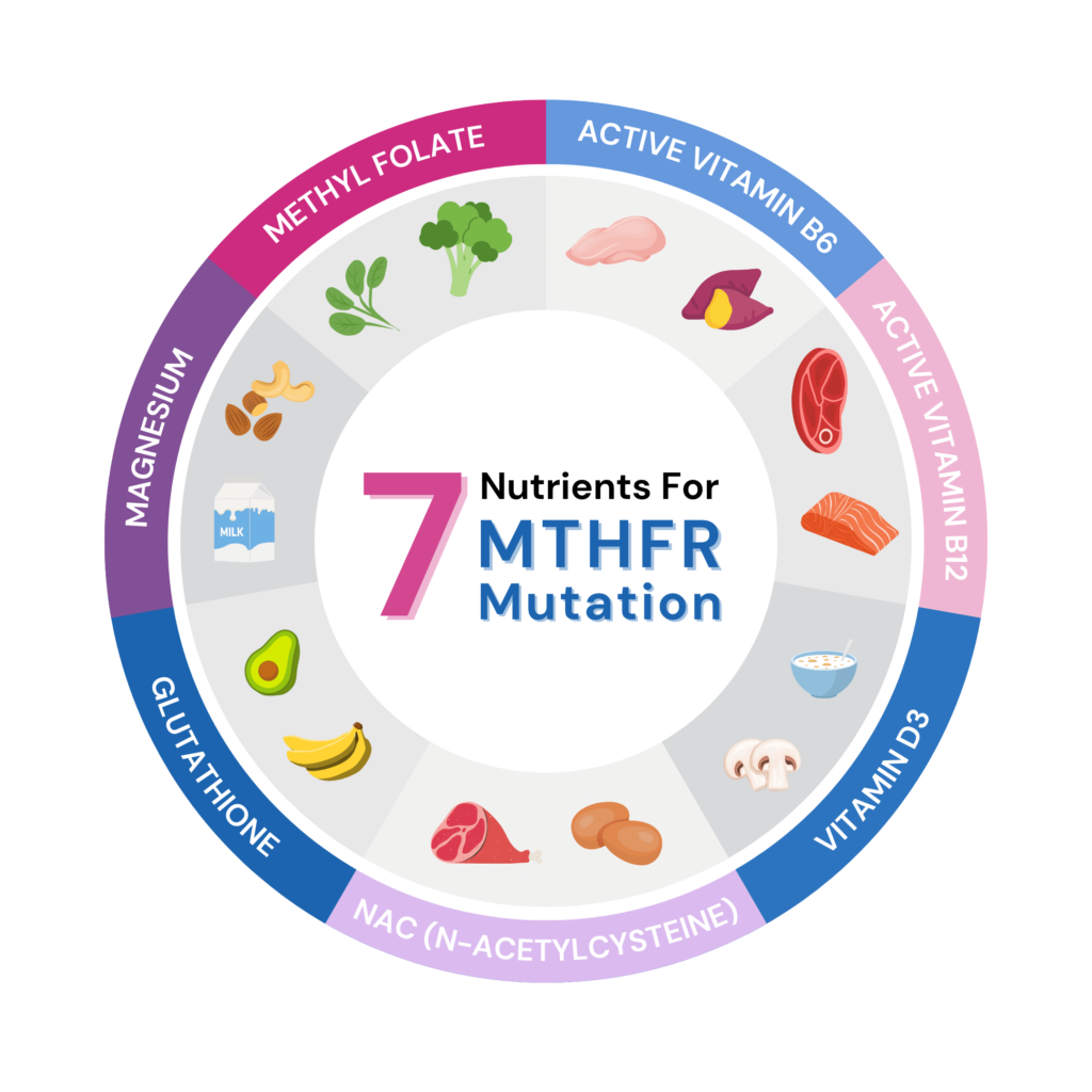 Pie chart showing main nutrients required to offset the effects of MTHFR mutation: Magnesium, Vitamin B6, B12, D3, Glutathione and N-Acetyl Cysteine